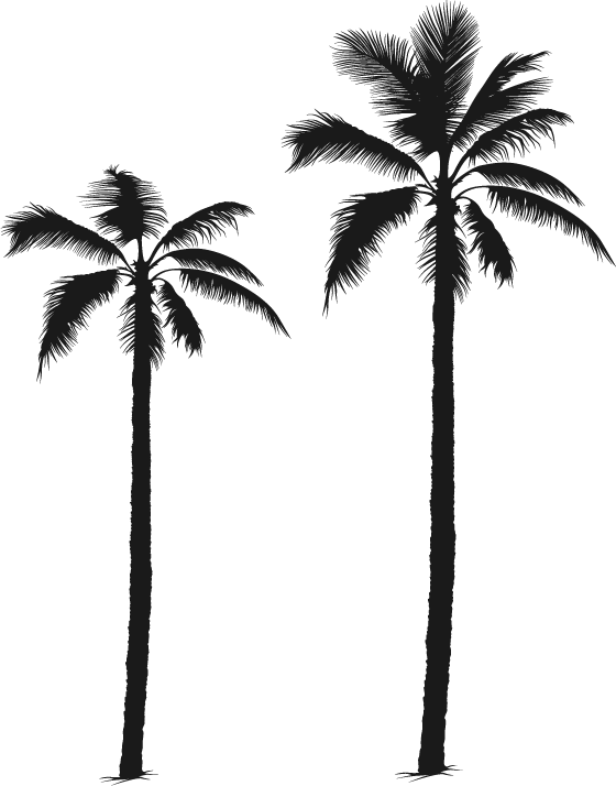 palm